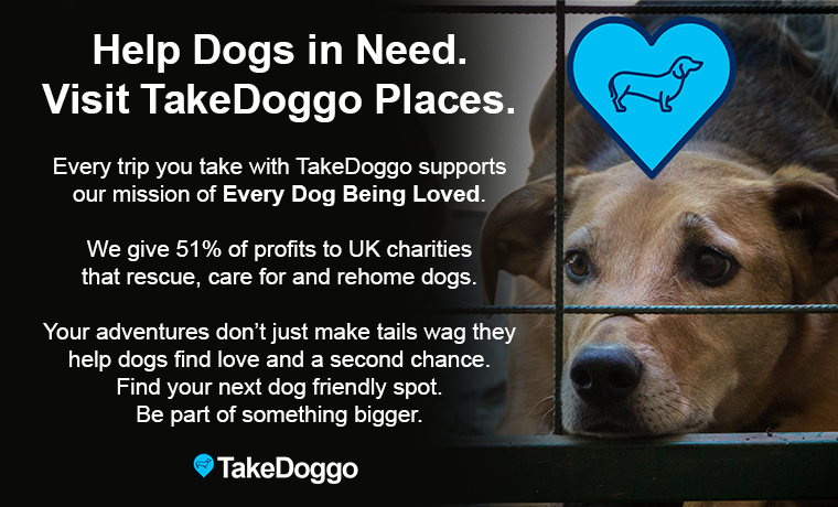 TakeDoggo Charity Banner