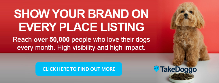 TakeDoggo-Place-Listing-Advertising-Banner