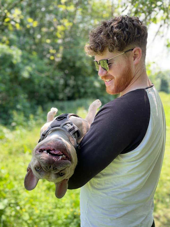 Listings Archive TakeDoggo